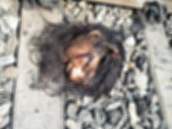 ट्रेन से युवती का गर्दन कटकर अलग हो गया था।