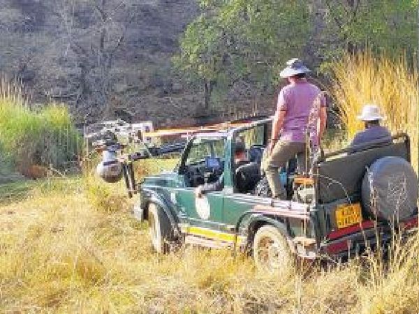 लापरवाही पड़ सकती है महंगी: रणथंभौर में 30% स्टाफ, 7 में से 5 रेंज प्रभारी संक्रमित; फिर भी चल रही 4 फिल्मों की शूटिंग, सवाल- बाघों में कोरोना फैला तो जिम्मेदारी किसकी?