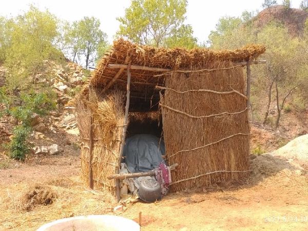 इसी तबेले में छिपाकर बच्चे को रखा था।
