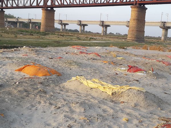 प्रयागराज में फाफामऊ गंगा घाट के किनारे दफन लाशें मिली हैं।
