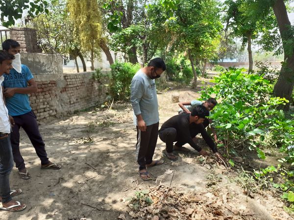 हरियाणा के फतेहाबाद में जो झोलाछाप पहले बुखार, उल्टी, दस्त की दवा दे देते थे, अब वे घर-घर जाकर गिलोय भी बांटने लगे हैं।