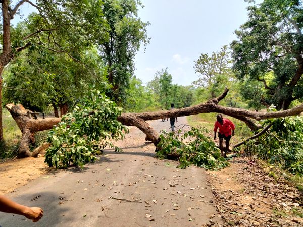 खतरनाक संक्रमण के खतरे को भांपाकर दंतेवाड़ा के बैदीपारा गांव के लोगों ने खुद ही मुख्य रूप से बंद कर दिया था जब खराब होने वाले व्यक्ति और जाने-जाने में पाबंदी दीदियां थीं।'''️️️️️️️️️️️️️️️️️️️️️️️️️️️️️️️