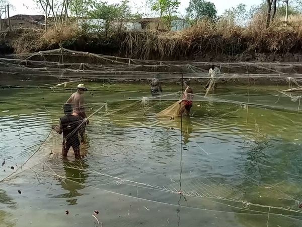 कुरुदडीह गांव में सुरक्षित हैं, ऐसा नहीं है।