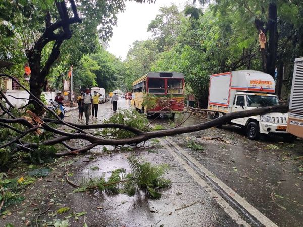 Cyclone Tauktae Latest Photos; Mumbai Rain News | Rain Warning In Maharashtra Palghar Thane And Ratnagiri Districts | तेज हवा और बारिश की वजह से पेड़ गिरे, कई गाड़ियों को नुकसान; एक शख्स की मौत 3 वडाला उद्योग भवन इलाके में पेड़ गिरने से रास्ता ब्लॉक हुआ है।