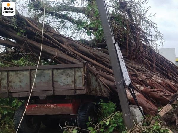 Electricity supply came to a standstill due to falling of the poles. Trees scattered like straw in the streets | तूफान का खौफनाक मंजर; तेज हवाओं के बीच खंबे गिरने से कई इलाकों में बिजली सप्लाई ठप, सड़कों पर गिरे पेड़ों ने रोके रास्ते 9 यह खौफनाक तस्वीर उना की है। यहां एक बड़ा सा पेड़ पास खड़े ट्रैक्टर पर जा गिरा। इससे ट्रैक्टर पूरी तरह से पेड़ से ढक गया।