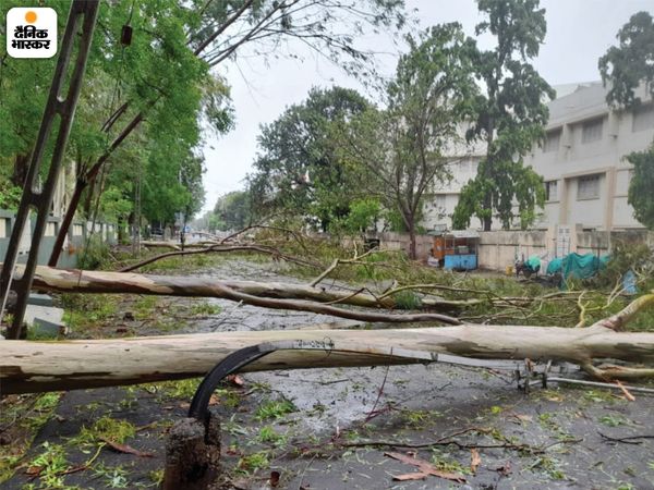 Electricity supply came to a standstill due to falling of the poles. Trees scattered like straw in the streets | तूफान का खौफनाक मंजर; तेज हवाओं के बीच खंबे गिरने से कई इलाकों में बिजली सप्लाई ठप, सड़कों पर गिरे पेड़ों ने रोके रास्ते 12 यह तस्वीर उना से इतर भावनगर की है। यहां भी तूफान ने खासा नुकसान पहुंचाया। तेज हवाओं सबकुछ इधर- उधर बिखर गया। एक साथ 5 से 7 पेड़ गिरने से यहां सड़क बंद हो गई।