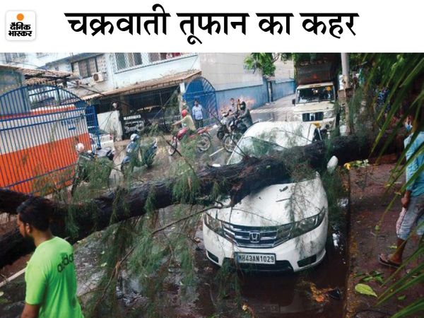 पेड़ गिरने की वजह से मुंबई के कई इलाकों में वाहनों को नुकसान पहुंचा। इससे ट्रैफिक भी प्रभावित हुआ। - Dainik Bhaskar