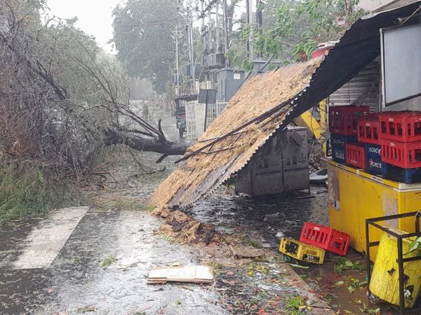 भावनगर जिले के पोणा शहर के एक रेस्टोरेंट की टिन गिर गई। पास में ही स्थित कई पेड़ भी गिर गए।