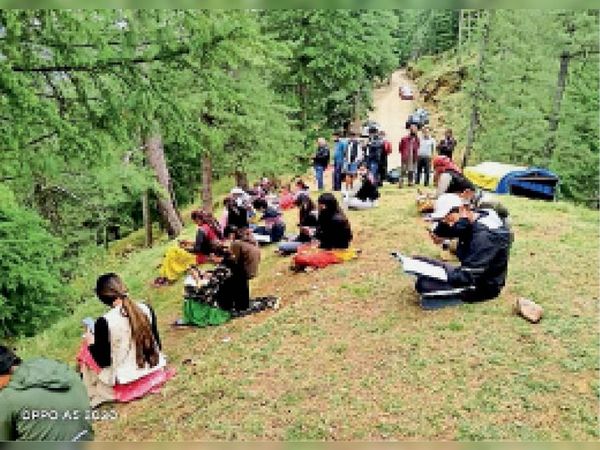 इंटरनेट कनेक्टिविटी ना होने के कारण बच्च जंगल में पढ़ने पहुंच रहे हैं। - Dainik Bhaskar