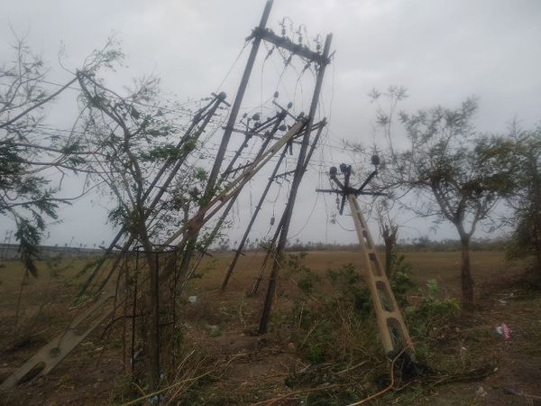 राजकोट में बिजली विभाग को बिजली के खंभे गिरने की 564 शिकायतें मिल चुकी हैं।