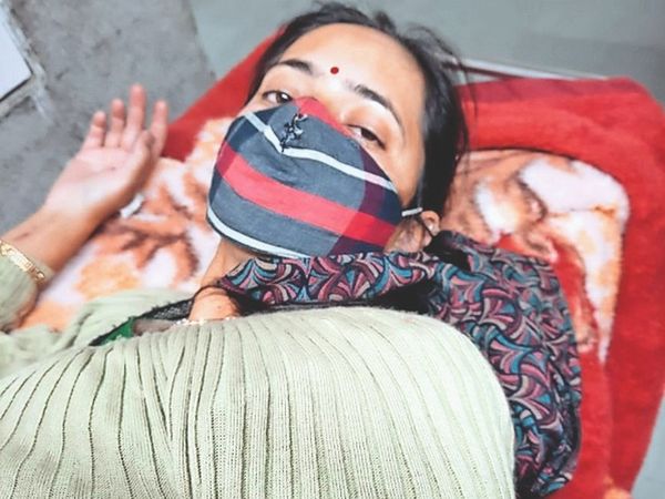 जंगली मशरूम खाने से चार लोग बीमार हो गए, अब आईजीएमसी में उपचाराधीन हैं। - Dainik Bhaskar