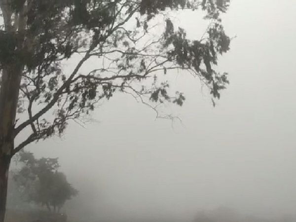 मैनपाट में बारिश के साथ कोहरा और धुंध छा गई है।