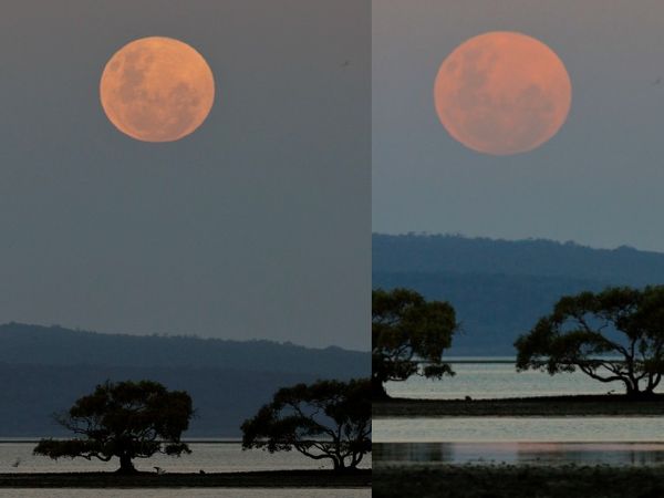 Lunar Eclipse (Chandra Grahan) 2021 Photos Update | Super Blood Moon In Latest News and Updates | 6 साल में बना सुपरमून और चंद्रग्रहण का संयोग; अमेरिका, ऑस्ट्रेलिया और तुर्की समेत कई देशों में दिखाई दिया 3 ऑस्ट्रेलिया के नॉर्थ स्ट्रेडब्रोक आइसलैंड में चांद इस तरह लाल रंग में दिखाई दिया।