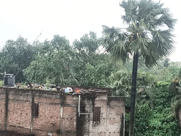 कटिहार के हसनगंज प्रखंड में तेज हवाएं चलीं।