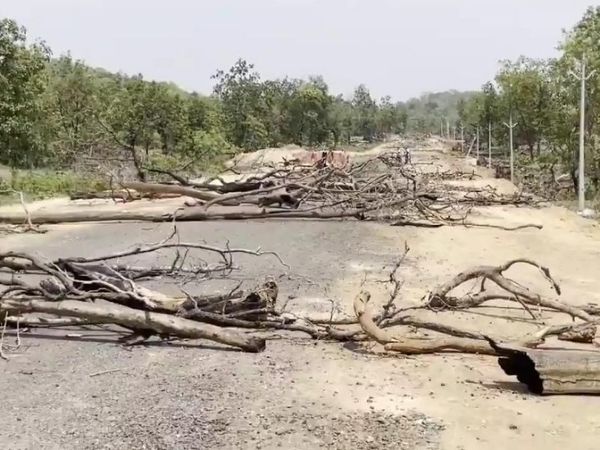 ग्रामीणों ने सड़क पर पेड़ बिछाकर रास्ता जाम कर दिया है। यहां 3 दिन से आवाजाही पूरी तरह बंद है।