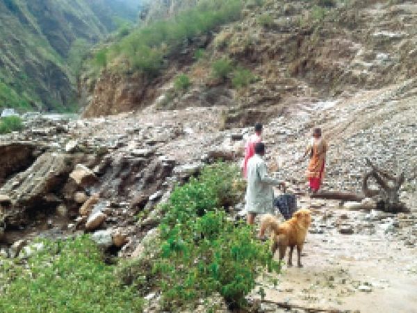 करसोग में बारिश सेबही सड़क, शिमला में वाहनों के ऊपर गिरे पेड़। - Dainik Bhaskar