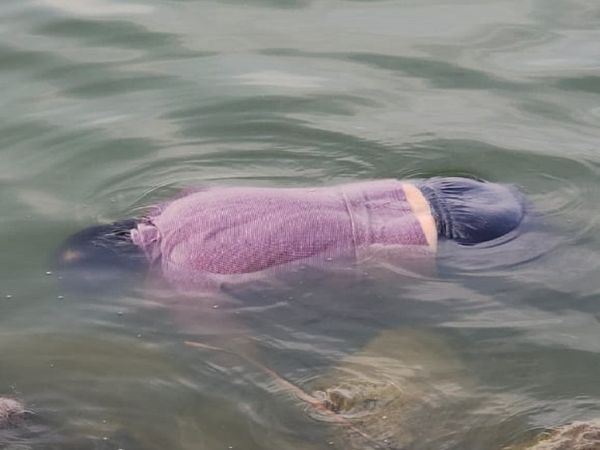 तस्वीर रायपुर के तेलीबांधा तालाब की है। इसी तरह कुछ देर तक कारोबारी का शव डूबा रहा। - Dainik Bhaskar