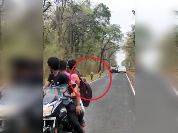 इस दौरान कई लोग बाघ के साथ सेल्फी लेते हुए नजर आये। - Dainik Bhaskar
