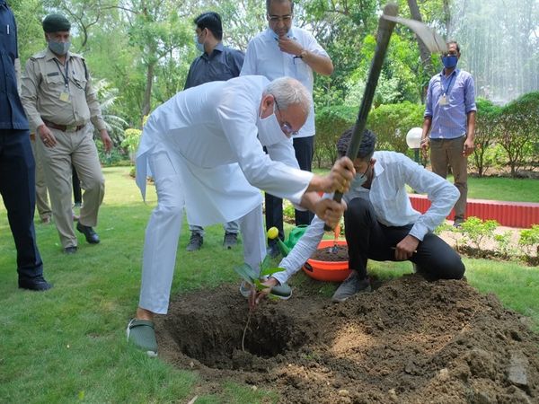 पौधा लगाने के लिए सीएम ने खुद ही खड्डा खोदा और बागवानी में अपनी दिलचस्पी दिखाई।