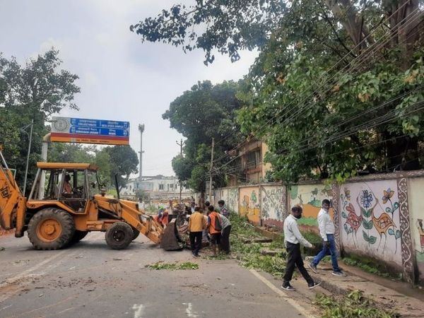 बुधवार को हुई बारिश के बाद रांची के कई इलाकों में सड़कों पर पानी जमा हो गया और कई इलाकों में सड़क पर पेड़ गिर गए। सूचना भवन के पास गिरे पेड़ को हटाते निगमकर्मी। - Dainik Bhaskar