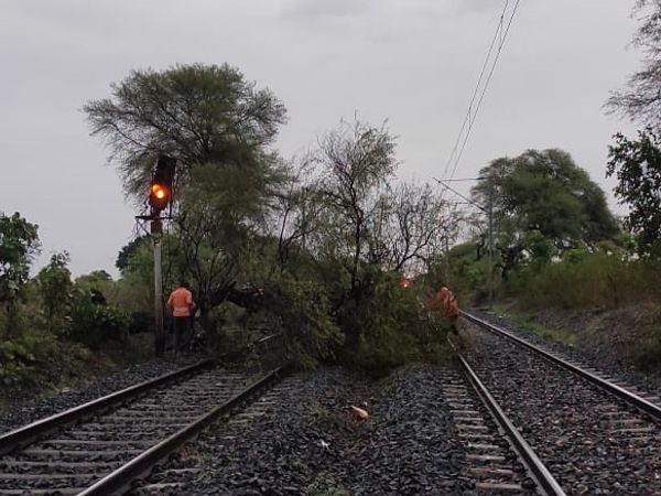 रेलवे ट्रैक पर गिरे पेड़ को हटाने का काम चालू रहा। - Dainik Bhaskar