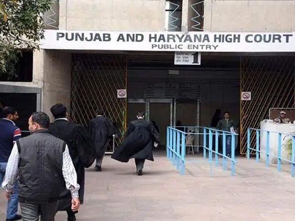 याचिका में हरियाणा सरकार व इंडियन मेडिकल एसोसिएशन को भी प्रतिवादी बनाया गया है। - Dainik Bhaskar