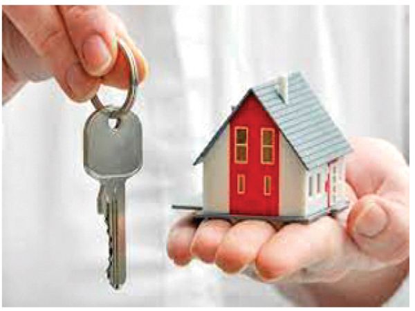 दो महीने की रिपोर्ट - भोपाल, इंदौर और जबलपुर में पुरुषों के नाम ज्यादा रजिस्ट्री - Dainik Bhaskar
