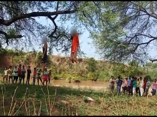 इसी हालत में शव काफी देर तक पेड़ से लटके हुए थे। - Dainik Bhaskar