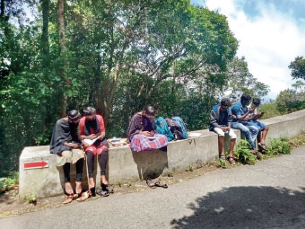 एराविकुलम नेशनल पार्क में सड़क किनारे ऑनलाइन क्लास से पढ़ते बच्चे। - Dainik Bhaskar