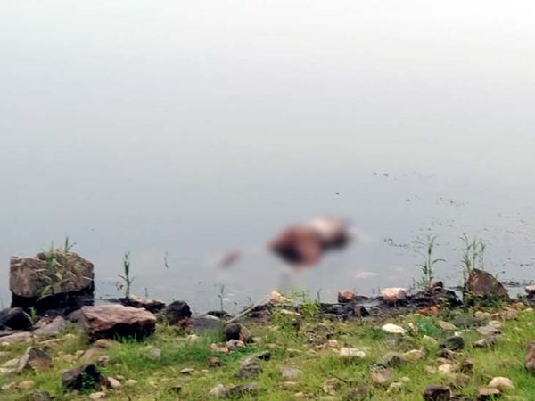 शव पर मछुआरों की नजर पड़ी तो उन्होंने बरही और चंदवारा पुलिस को सूचना दी। - Dainik Bhaskar