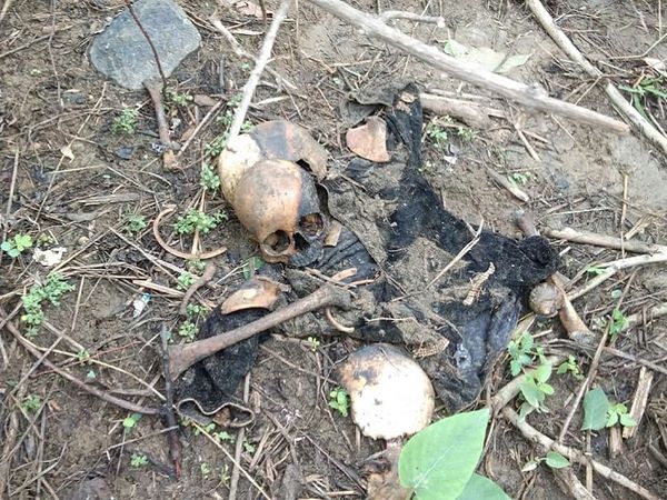 जशपुर में लापता 4 साल की बच्ची का कंकाल शनिवार को तालाब से मिला है। जहां कंकाल मिला, वह जगह बच्ची के घर से करीब डेढ़ किमी दूर है।