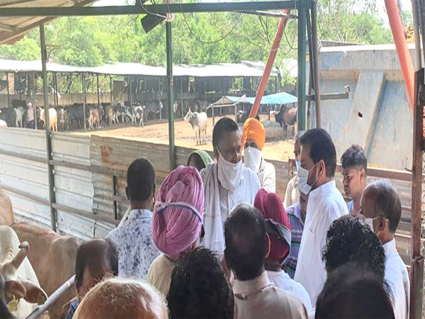 चंडीगढ़ कांग्रेस प्रधान ने आज गौशाला का दौरा किया।