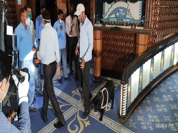 राजमंदिर सिनेमा में डॉग स्कॉयड की टीम जांच करते हुए।