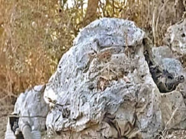 युद्ध के मैदान में सैनिकों को दुश्मन की नजर से बचाने के लिए इजरायल का इनोवेशन। - Dainik Bhaskar
