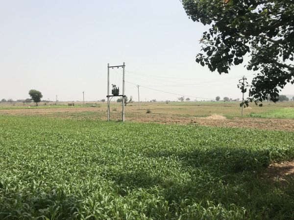 भरतपुर के मेवात इलाके में रोजगार के भी ज्यादा साधन नहीं है। गुजर-बसर का तरीका या तो खेती है या पत्थर तोड़ने का काम। पुलिस का कहना है कि ऐसे में ईजी मनी के लिए कई बेरोजगार सेक्सटॉर्शन जैसे काम करने वाले गिरोहों का हिस्सा बन जाते हैं।