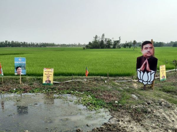 ममता बनर्जी और शुभेंदु अधिकारी के कटआउट भी यहां खेतों में दिखते हैं।