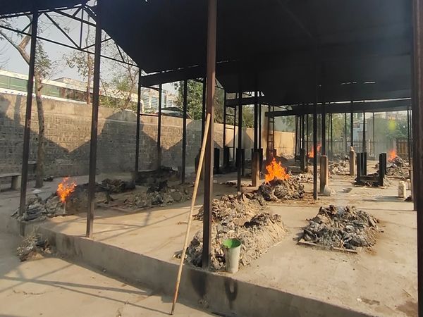 इसके साथ ही सयाजी मुक्तिधाम में 28 चीते जलाए गए