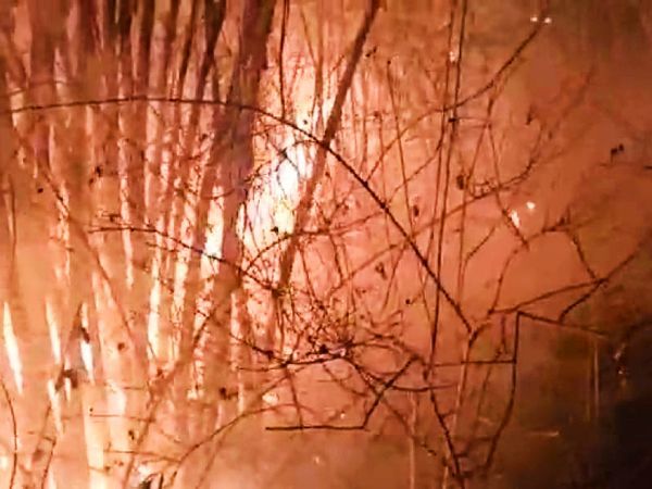 आग पहाड़ी क्षेत्र के जंगलों में 5 विगहास तक फैल गई।