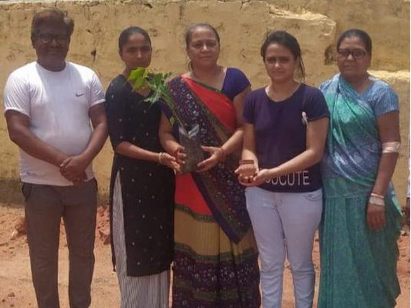 અલગ જગ્યા જમીયે અસ્થિ ડેટી ઉપરના વૃક્ષ.