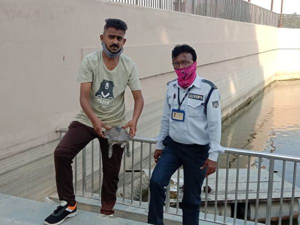 પ્રાણી ક્રુર નિવારણ સંસ્થા દ્વારા સુરસાગરની સાફસફાઈ કરાવીને જળચર જીવોને બચાવવા માગણી કરી