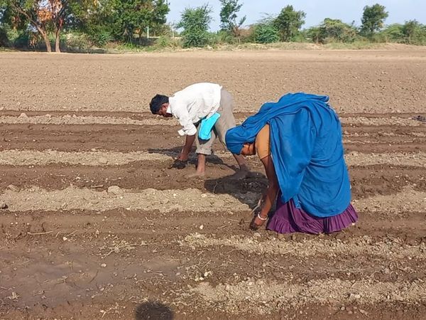વરસાદ પડવાની સંભાવનાથી ખેડૂતો આગોતરૂ વાવેતર કરી રહ્યા છે.