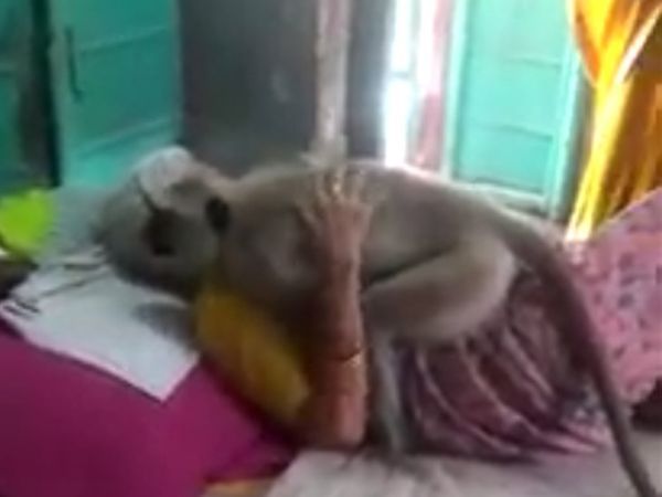 વૃદ્ધાને બે વખત ભેટ્યો