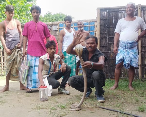 कोबरा मिलने के बाद ग्रामीणों की भीड़ लग गयी।