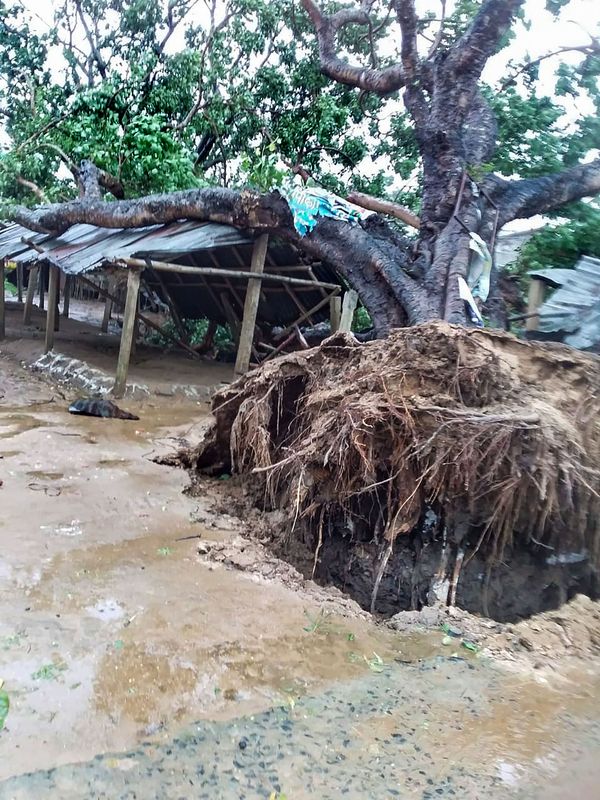 10 Photos Of Destruction । Cyclone Yaas in West Bengal । Odisha Jharkhand Balasore । Purba Medinipur Dhamra Bhadrak | समंदर का पानी घरों में घुसा, हवा ने उखाड़ फेंके सालों पुराने पेड़; ट्रेनों के पहिए थमे 10 ओडिशा के चांदीपुर में तेज हवाएं चलने से सालों पुराना पेड़ उखड़कर एक झोपड़ी पर गिर गया।