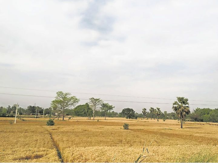 gopalganj bihar weather update Relief from sunshine due to clouds, the mercury is expected to