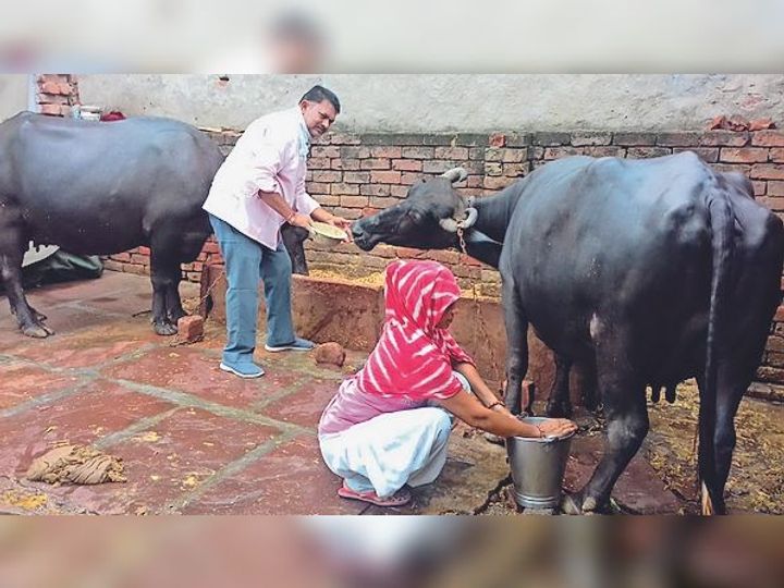 कोरोना की मार:भरतपुर में 1700 से ज्यादा छोटे स्कूल आर्थिक संकट में, किसी ने किराने की दुकान खोली तो कोई चला रहा डेयरी