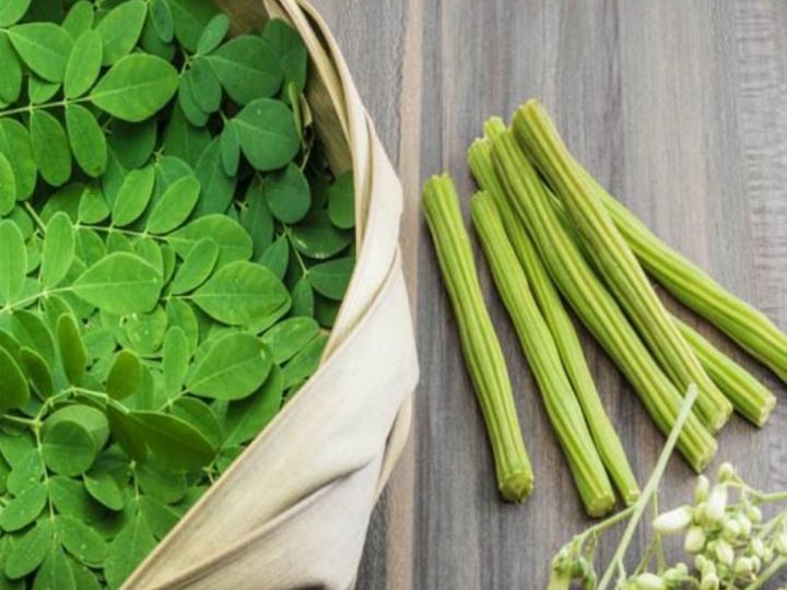 एंटीऑक्सीडेंट गुण वाले सहजन में पालक से 24 गुना अधिक आयरन, संतरे से 7 गुना अधिक विटामिन-सी, यह इम्युनिटी बढ़ाकर कोरोना से लड़ने में मददगार : एक्सपर्ट