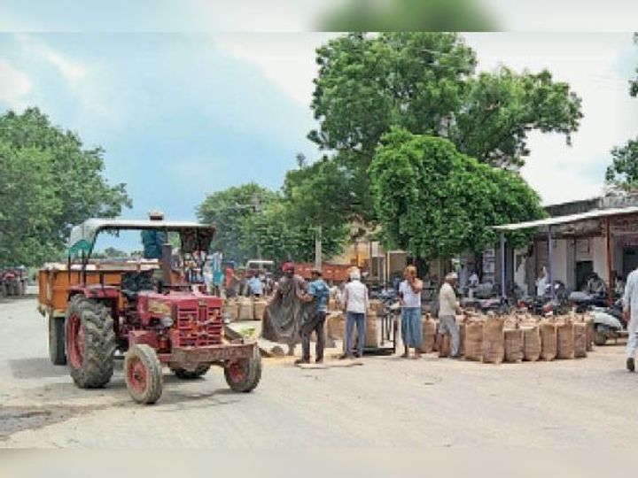 कुम्हेर अनाज मंडी में नहीं दिख रहा मंडी बंद करने का आह्वान, 1500 सरसों की बोरी की प्रतिदिन हो रही है आवक