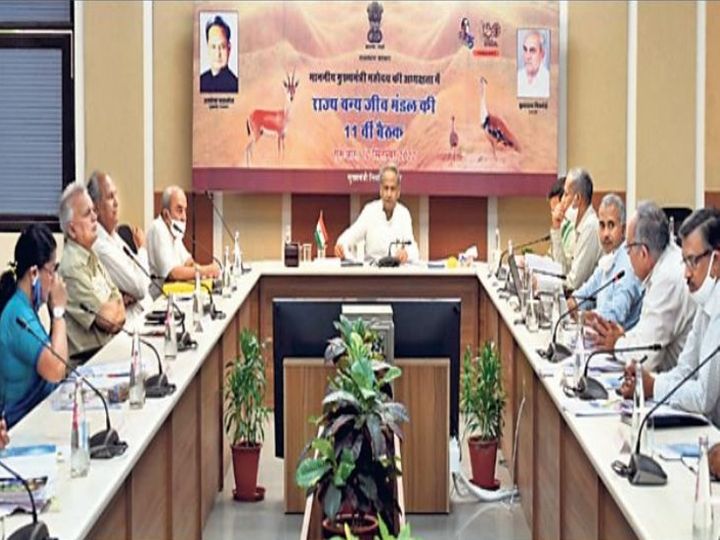 स्टेट वाइल्डलाइफ बोर्ड की मीटिंग:मुख्यमंत्री ने सुझावों पर गंभीरता की नसीहत दी, पूछा- विलेज रीलोकेशन धीमा क्यों?