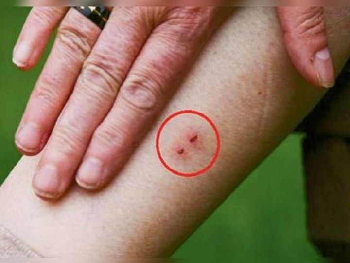 उमस से बिलों को छोड़ घर की चीजों में आसरा ढूंढ़ते हैं सांप